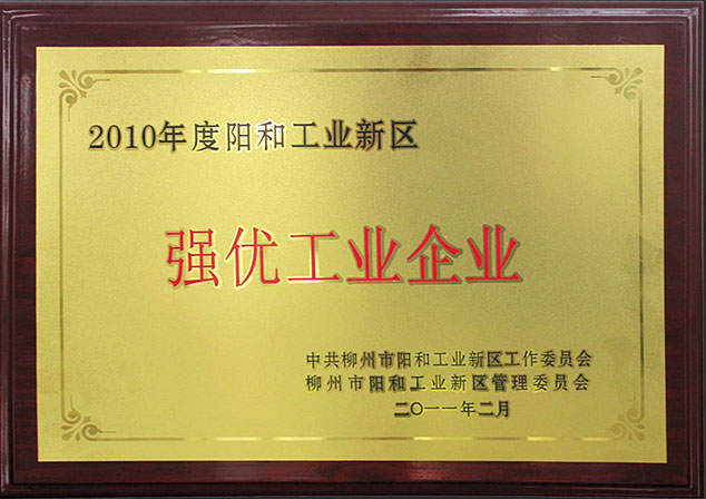 2010年强优工业企业